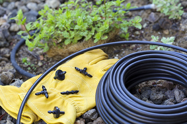 Drip Irrigation 2 Drip Irrigation 2